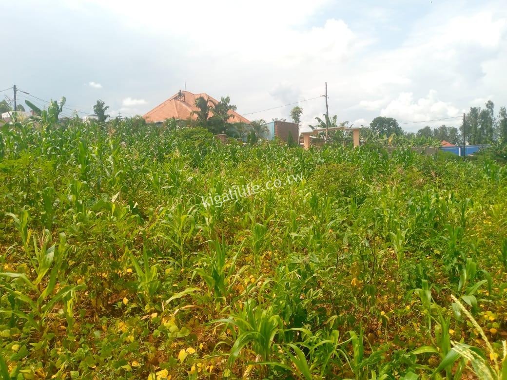 Ikibanza cyiza i Kabeza, Bugesera – Amahirwe meza ku Giciro Cyagabanyijwe