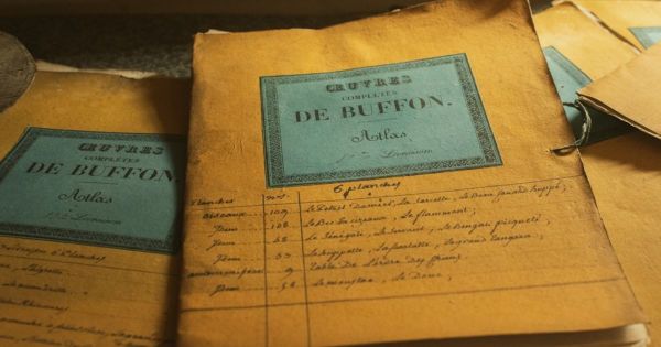 Saisine du Médiateur de l'assurance et suspension de la prescription biennale : une décision majeure pour les assurés (Cass. civ. 2e, 12 février 2026, n° 24-14.531)
