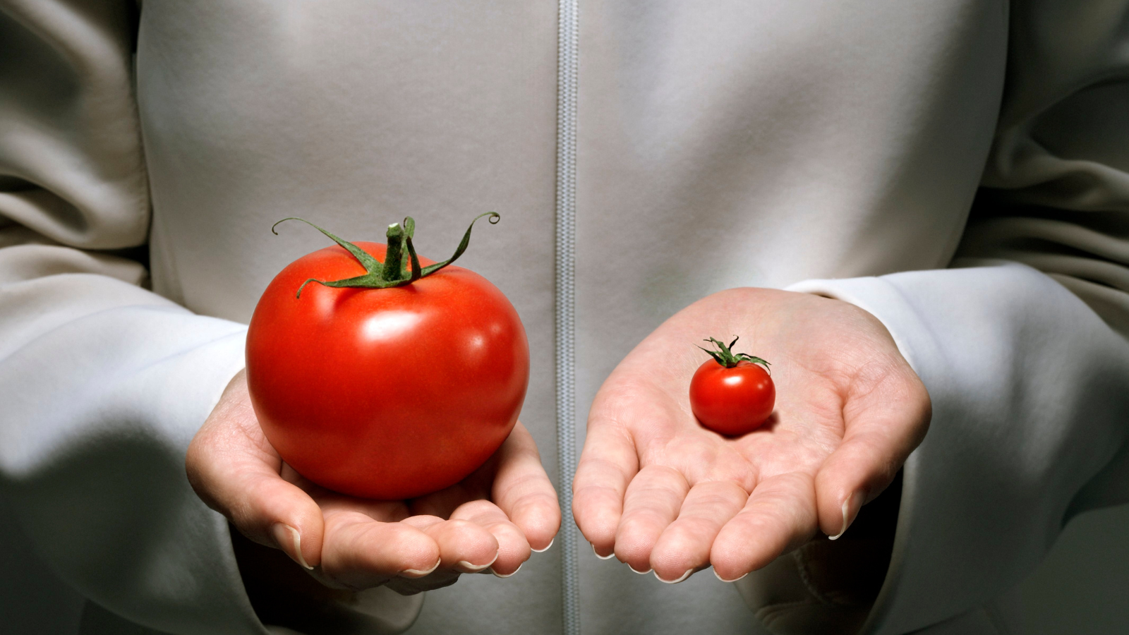Tomatoes Decoded: How to Eat, Choose, Grow, and Use This Everyday Superfood Safely - Image 2