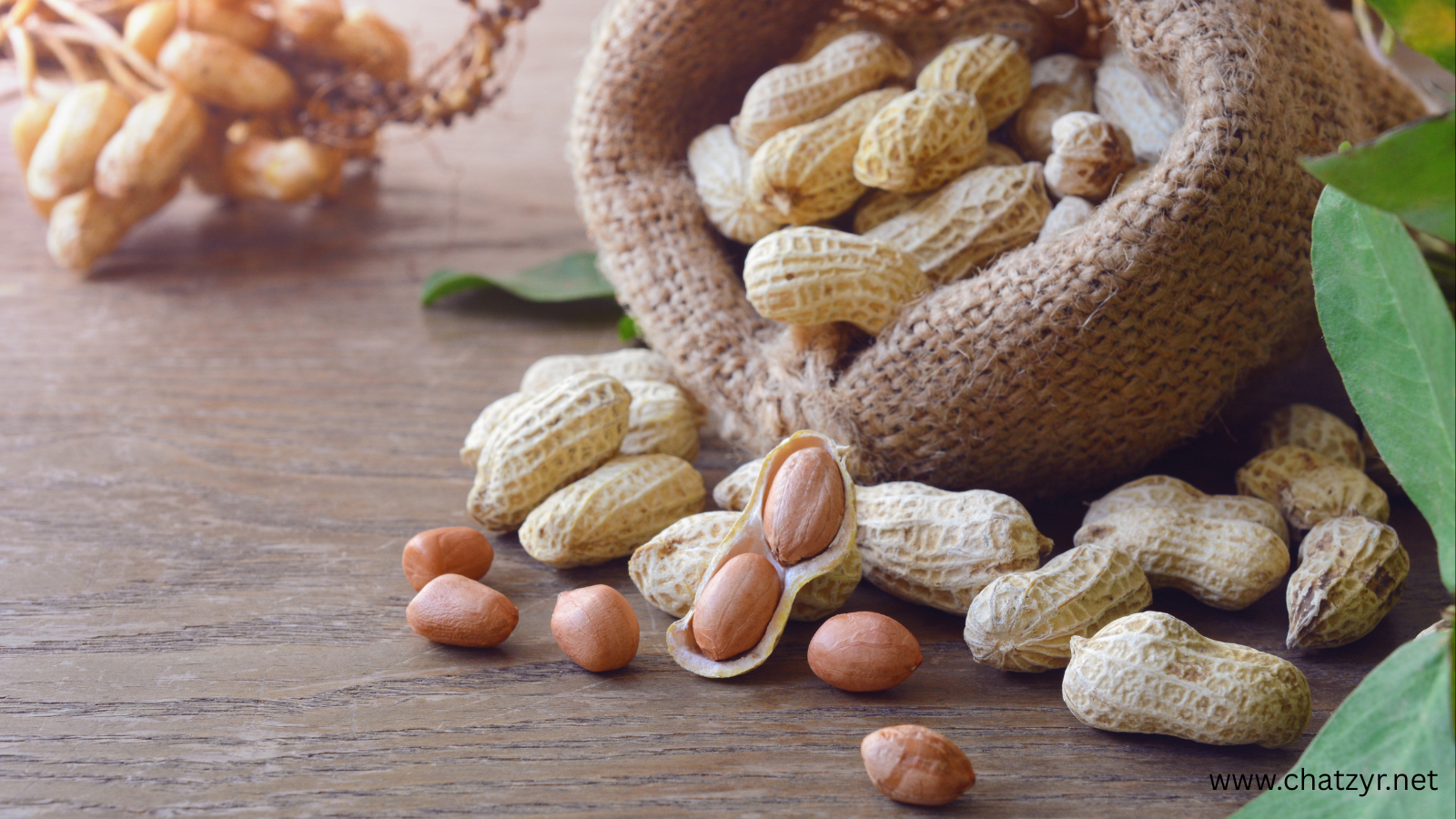 How Many Peanuts Should You Eat Daily? The Science-Backed Benefits Explained - Image 3