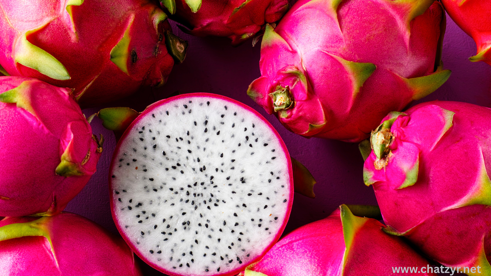 Dragon Fruit Demand Rises in Pakistan as Farmers Explore High-Value Crop Potential | ChatZyr