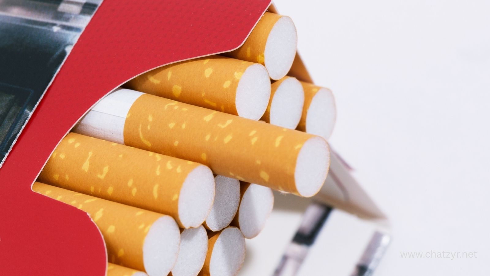 Pakistan Tobacco Exports Drop by $30 Million as Global Surplus Raises Fresh FY26 Economic Concerns | ChatZyr