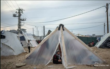 Pakistan, Seven Muslim Nations Condemn Israeli Actions in Gaza, Call for Immediate Ceasefire | ChatZyr - Image 2