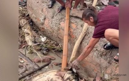 Nepal Disaster Raises Troubling Questions as Police Probe Alleged Theft From Dead