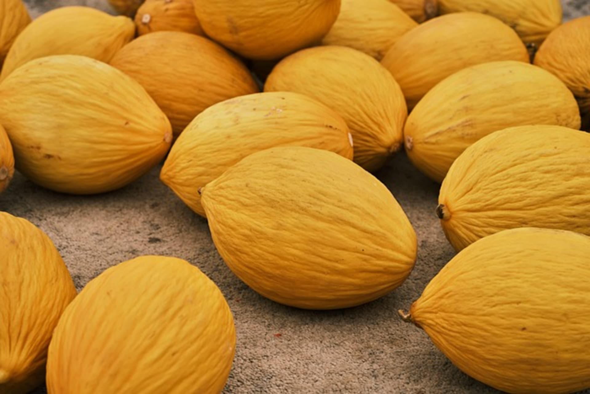 SWEET MELON