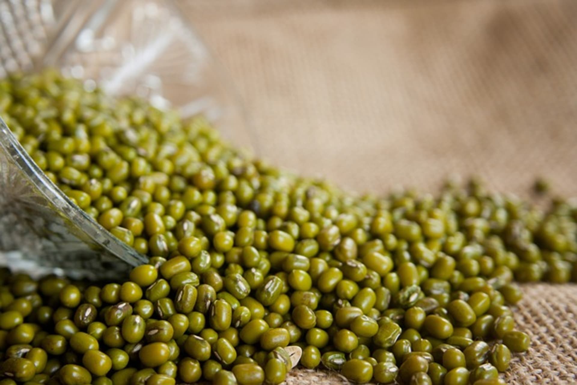 GREEN MOONG
