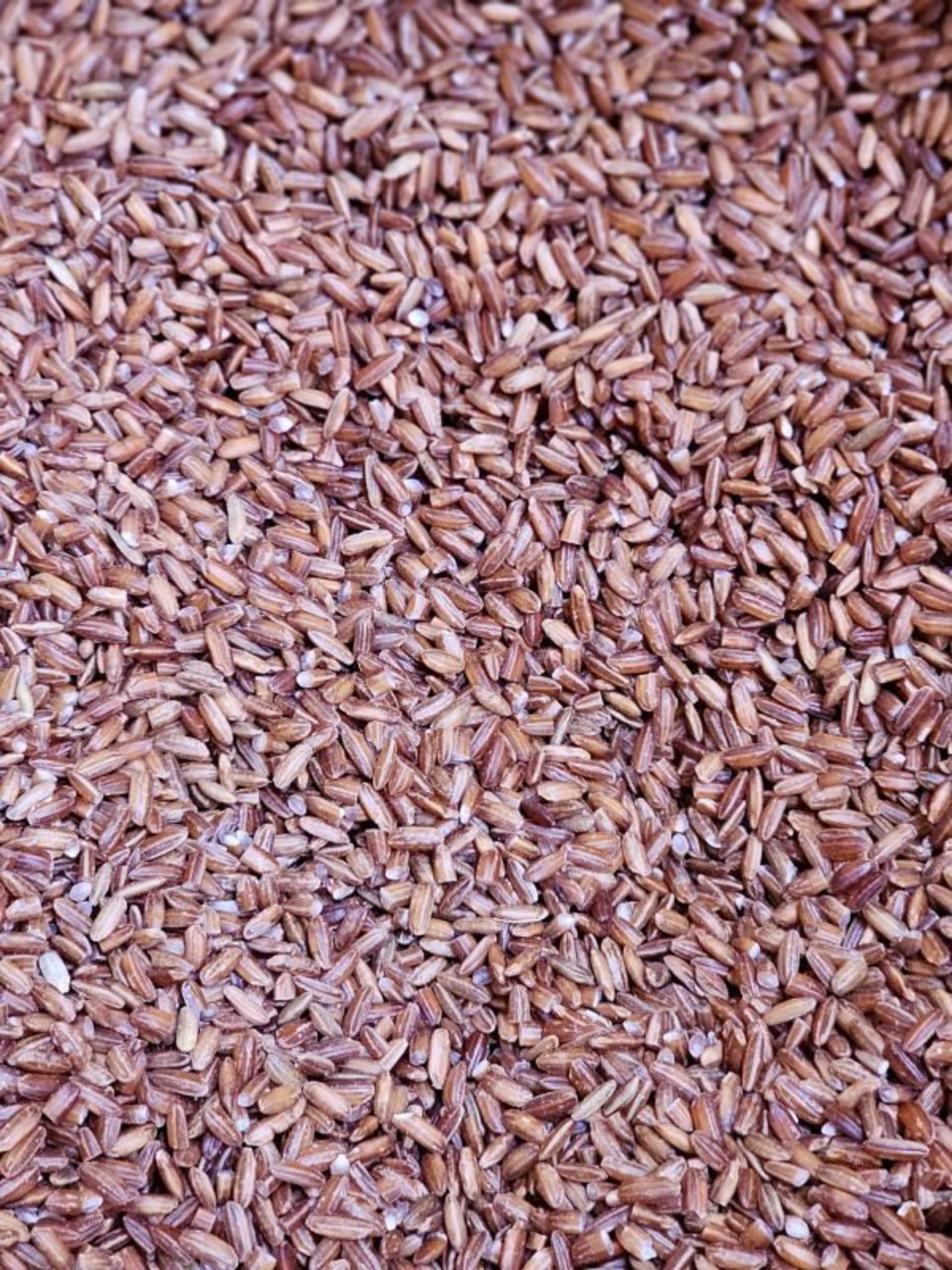 MATTA RICE