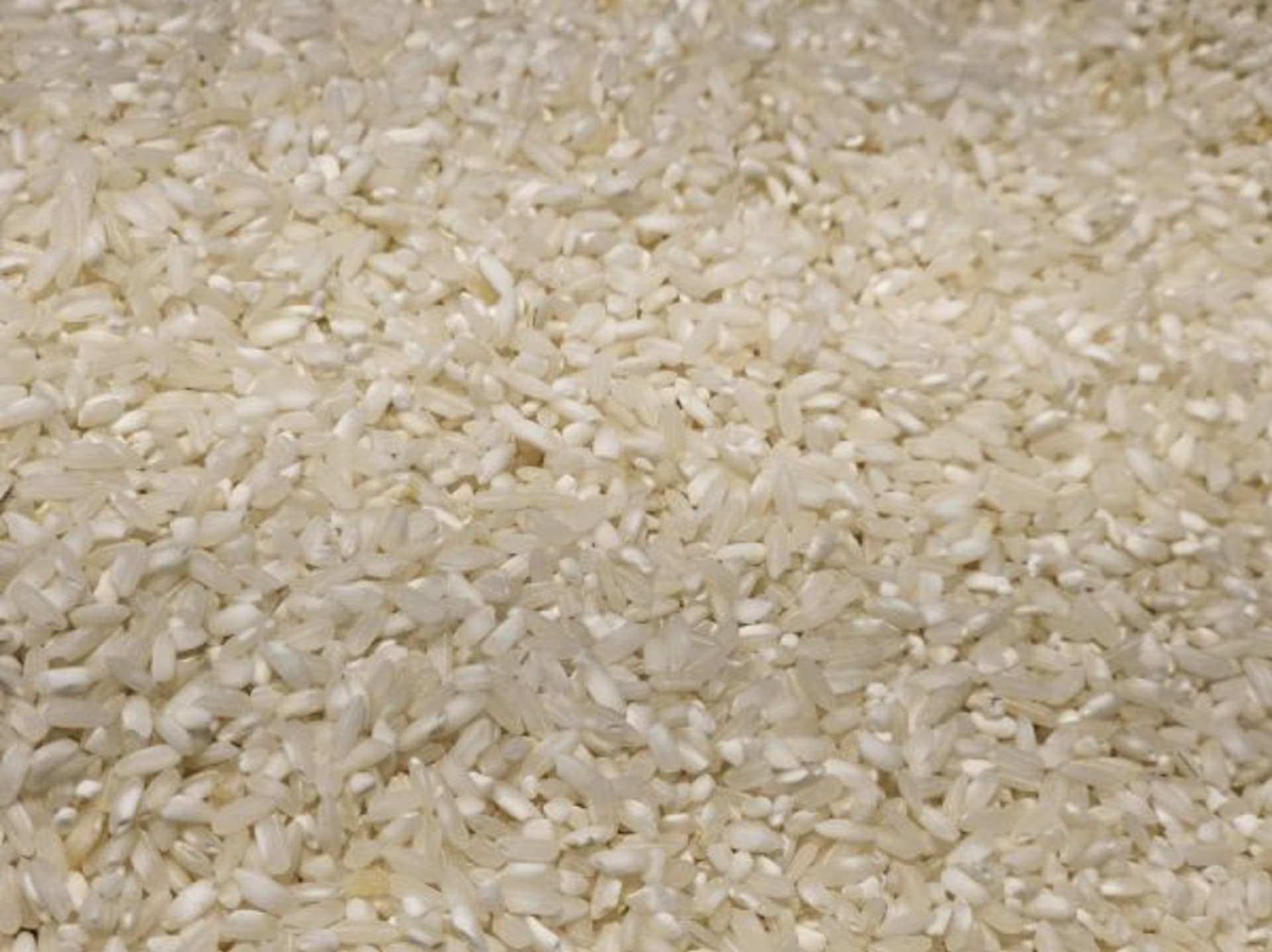 SONA MASOORI RICE