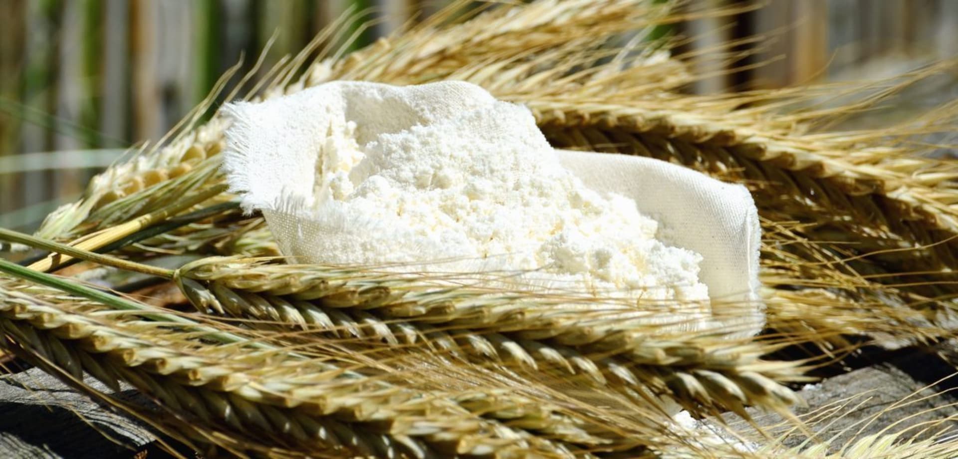WHEAT FLOUR