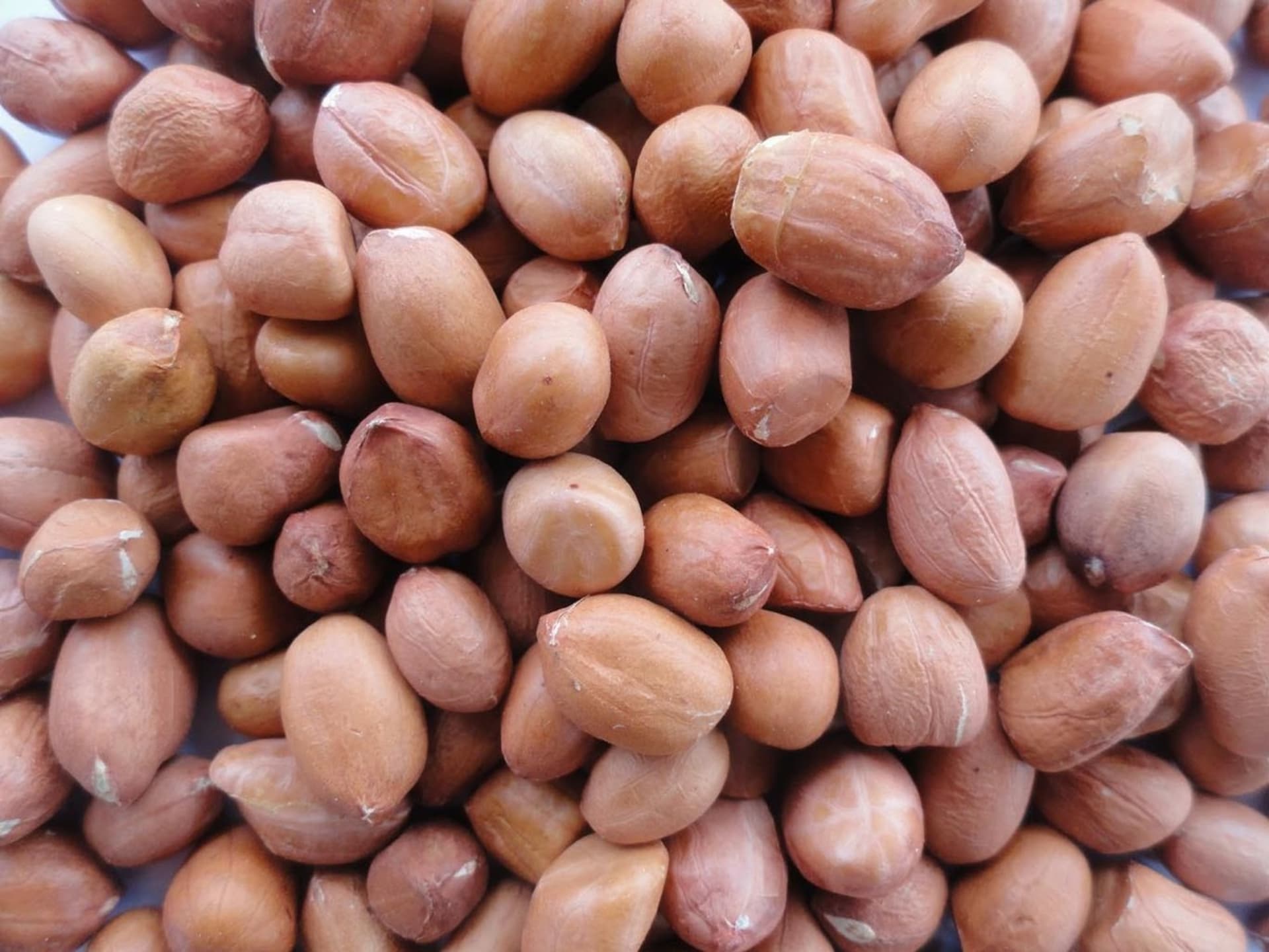 MOONGFALI / PEANUTS