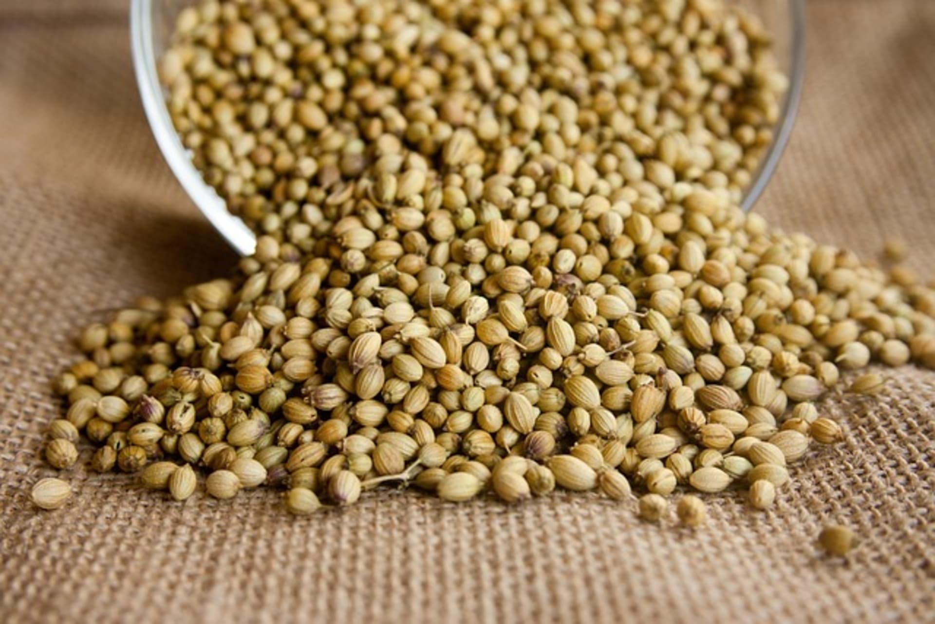 CORIANDER WHOLE