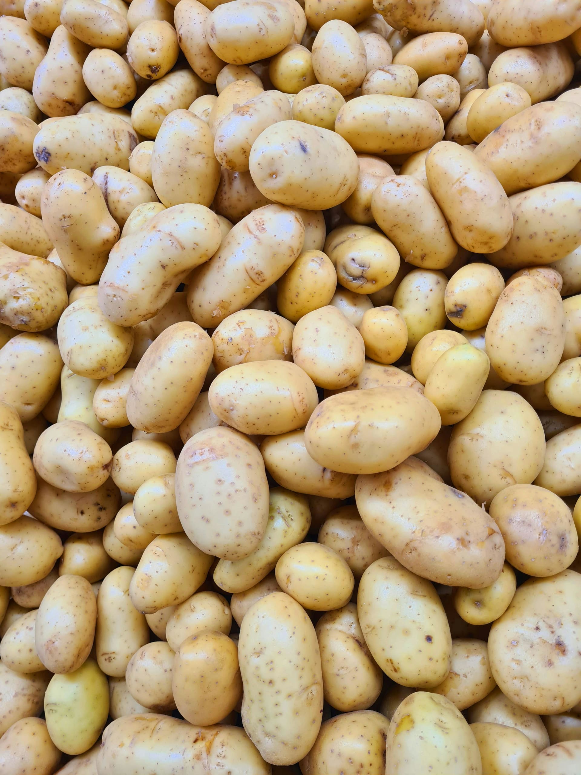 POTATO
