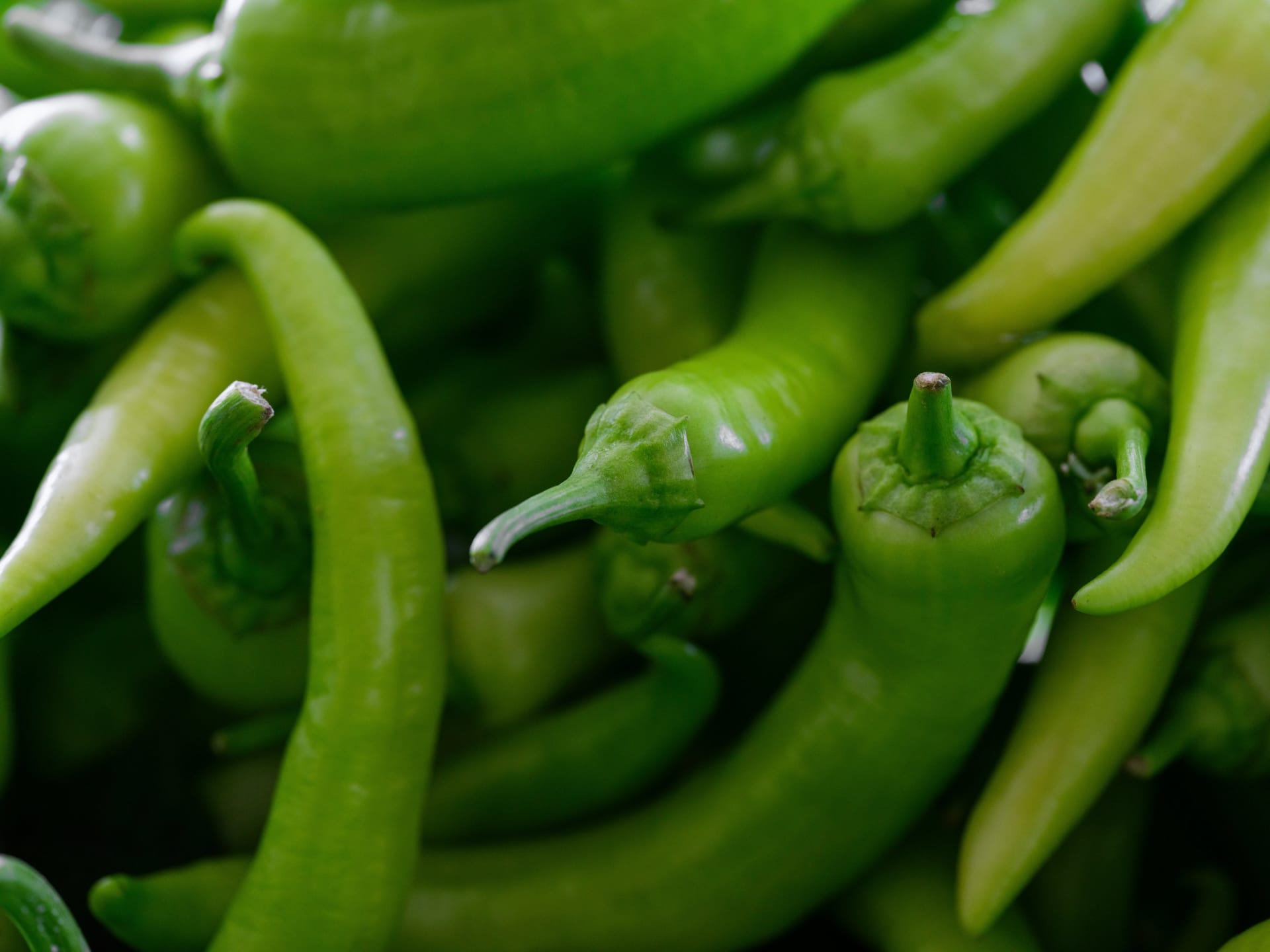 GREEN CHILLI