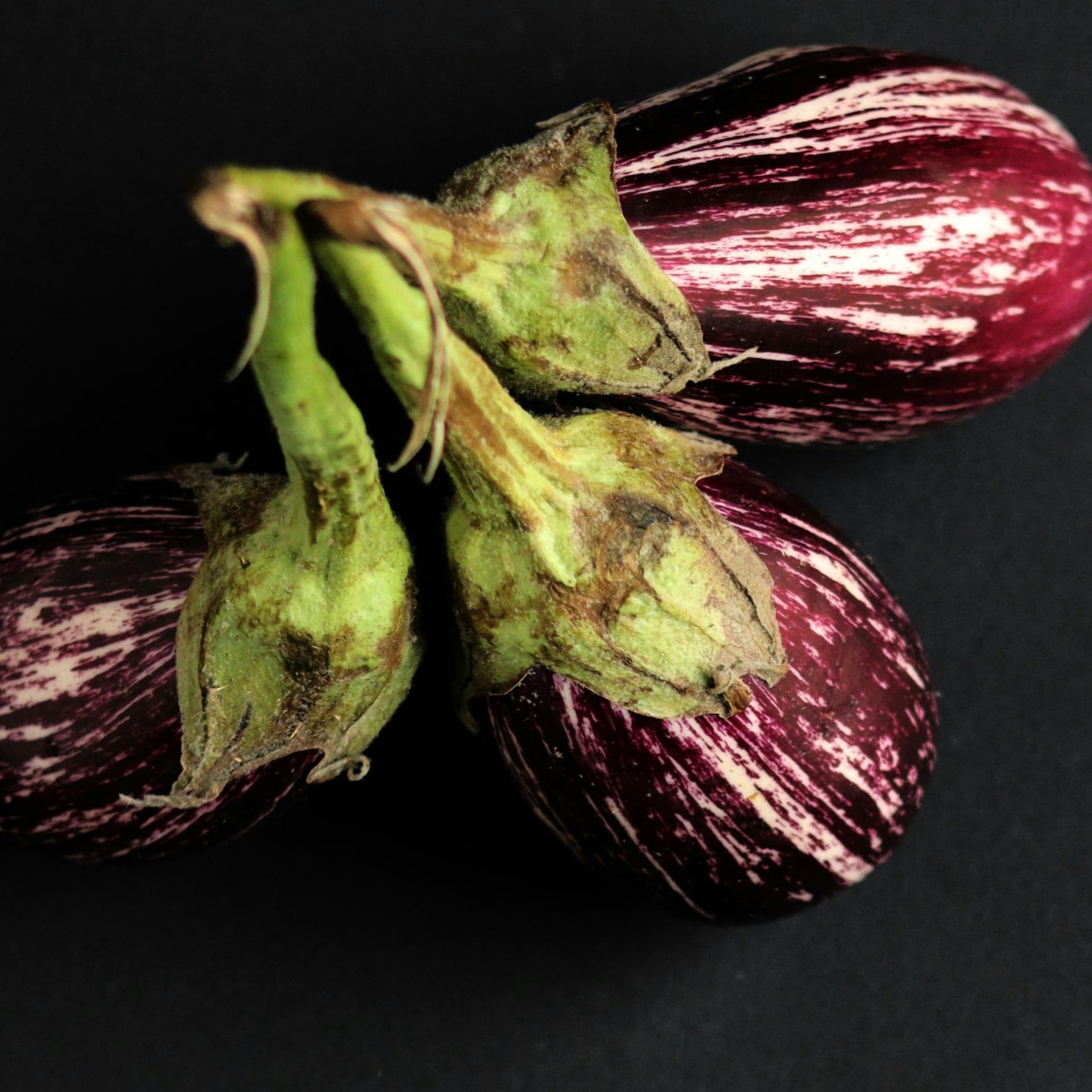 BRINJAL SMALL