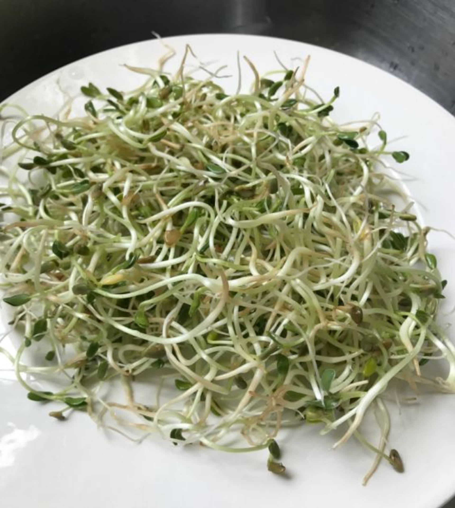 METHI SPROUTS