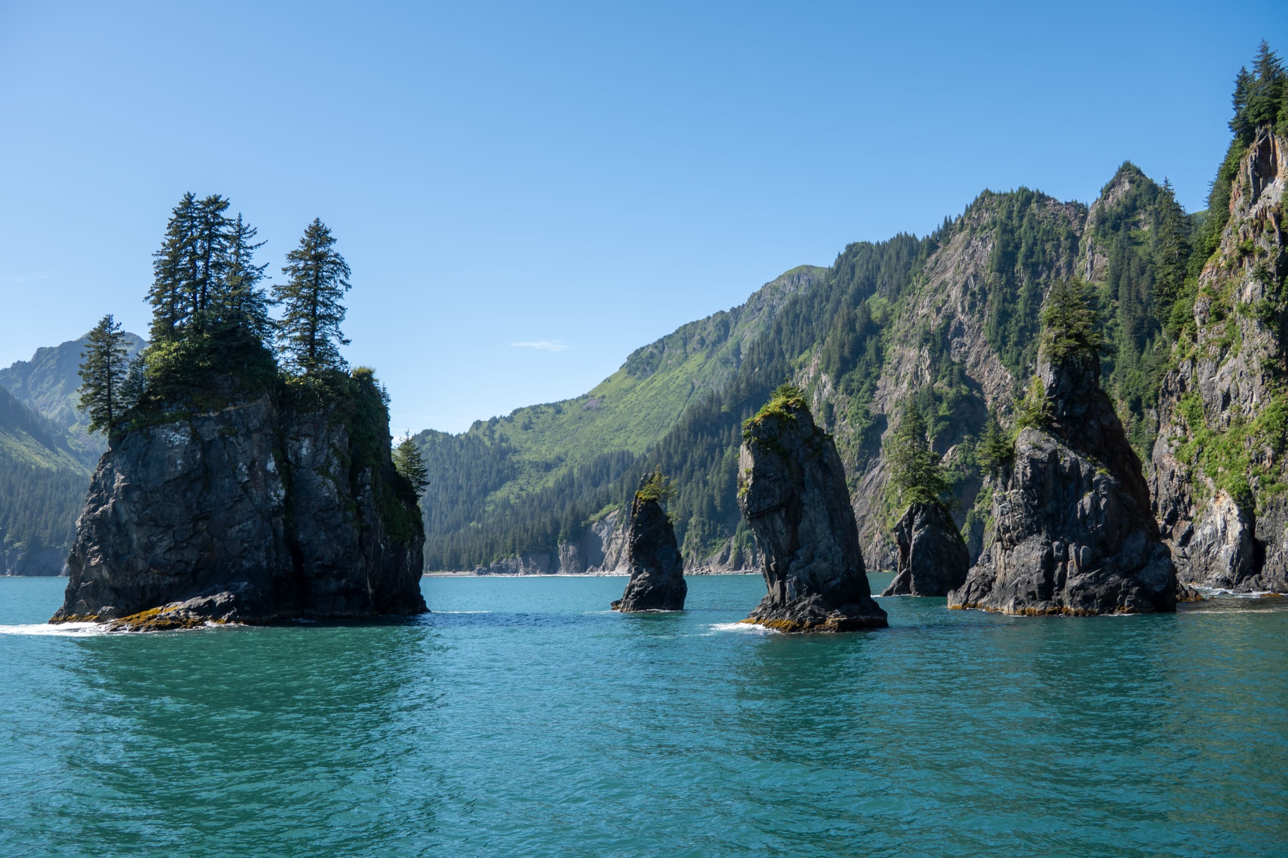 The Best Things To Do in Kenai Fjords National Park