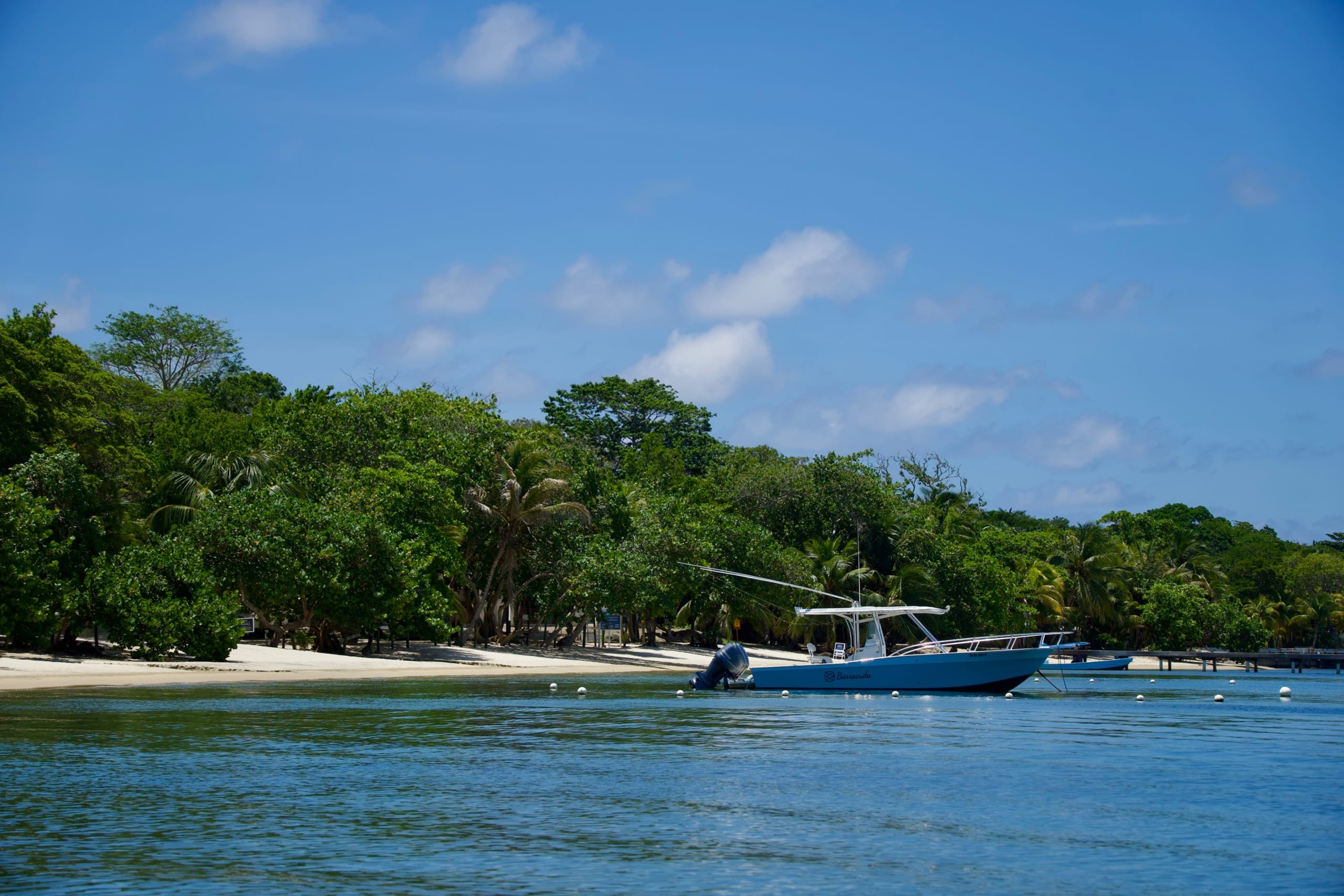 Beach scene in Honduras