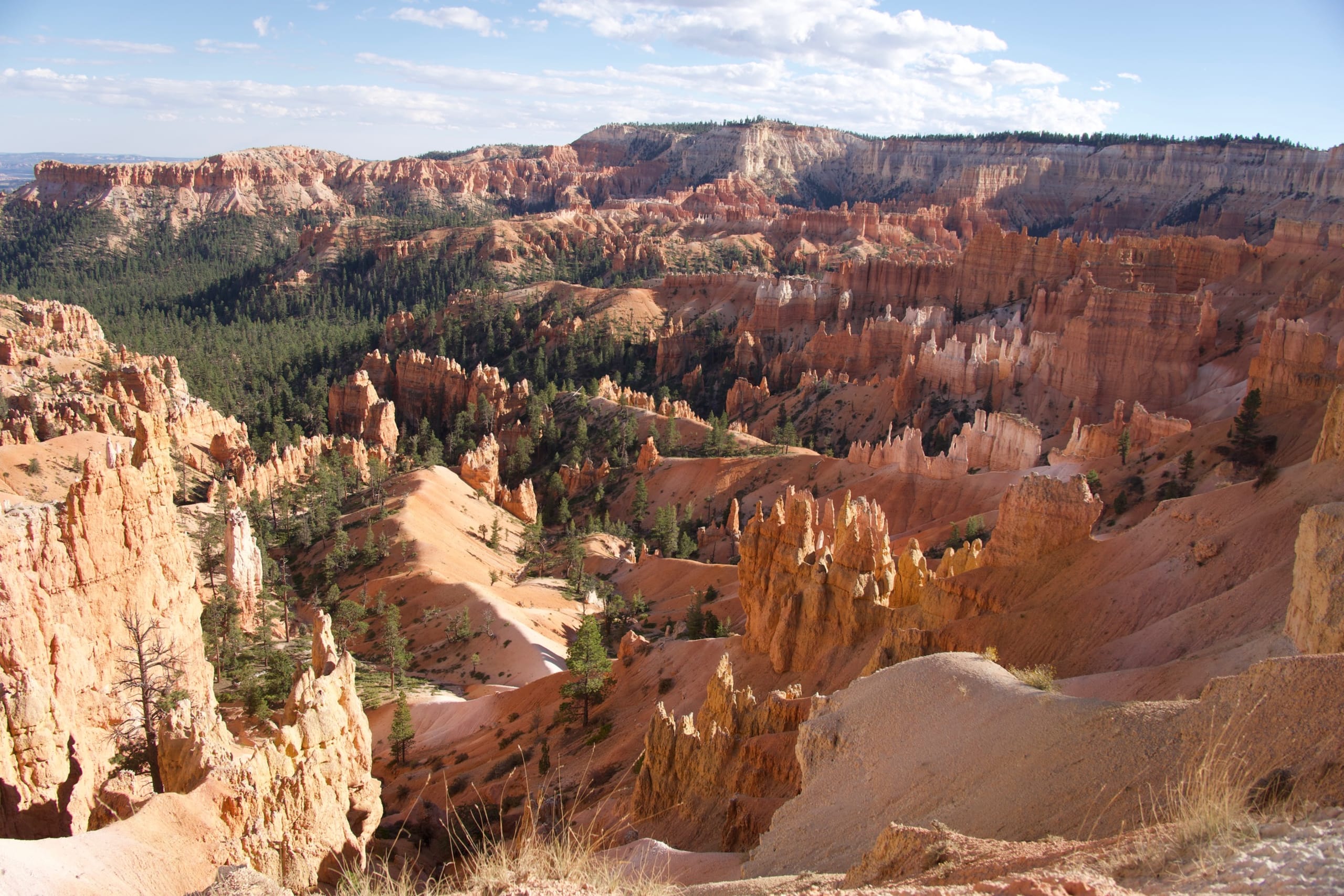 Sunlit hoodoo formations in Bryce Canyon