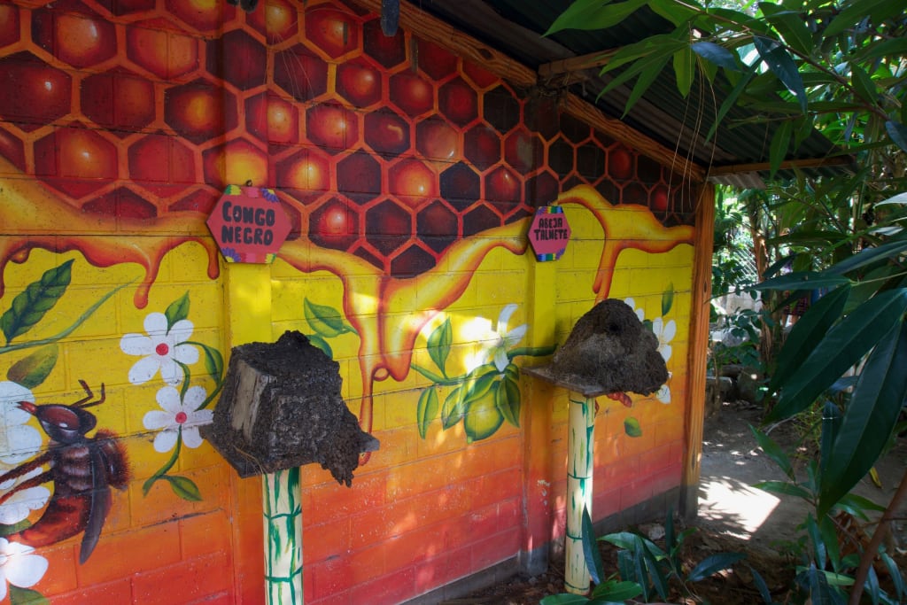 Two bee hives at Mundo de Abejas Mayas