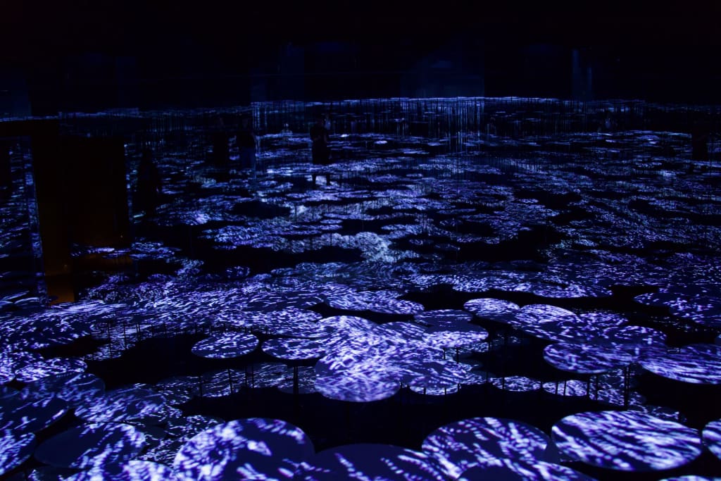 The Memory of Topography room at TeamLab Borderless