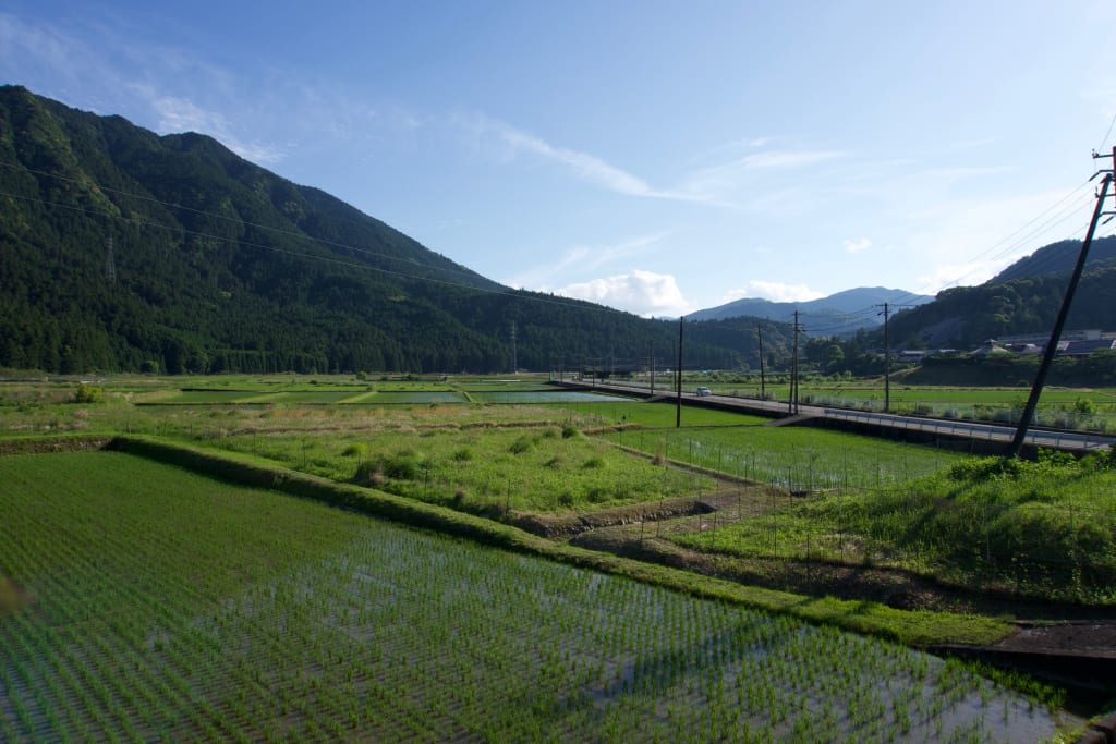 The view from our accommodations near Koguchi