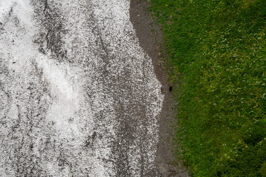 Black bear visible as a small dot on the glacier landscape