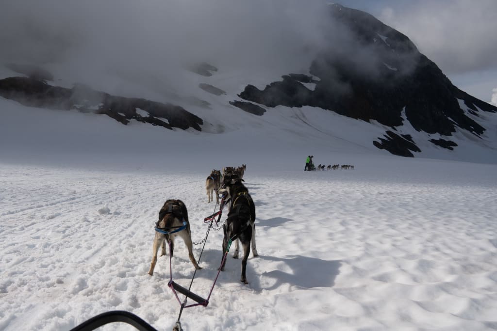 Dog sled team running across Punchbowl Glacier