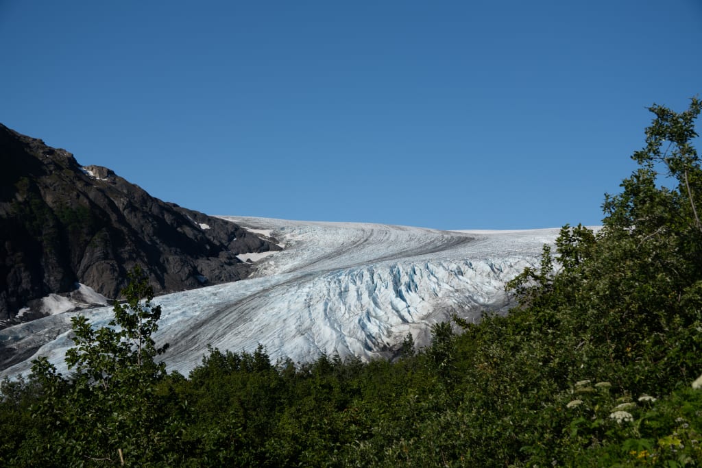 First glimpse of Exit Glacier through the trees on Harding Icefield Trail
