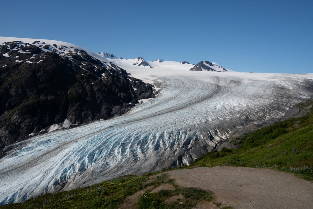 Exit Glacier from the Top of the Cliffs on Harding Icefield Trail