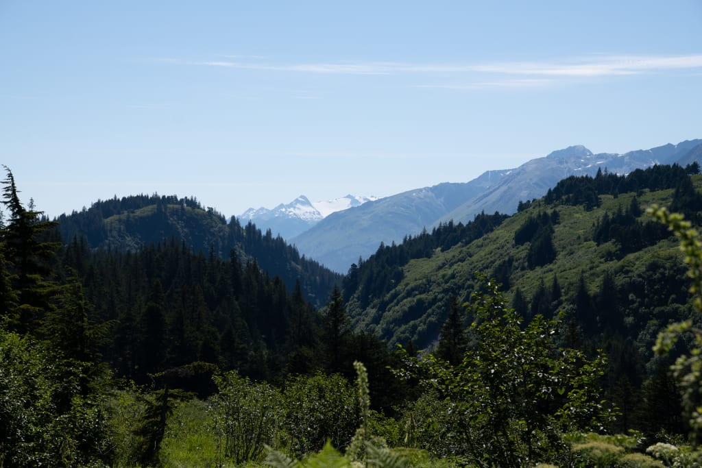 Looking back toward Chugach National Forest from Lost Lake Trail
