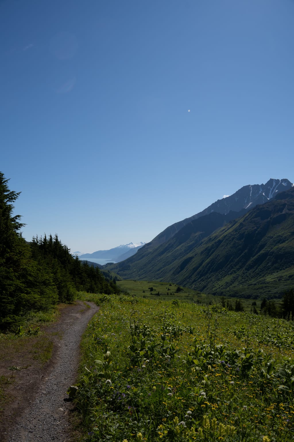 Open alpine scenery along Lost Lake Trail near Seward