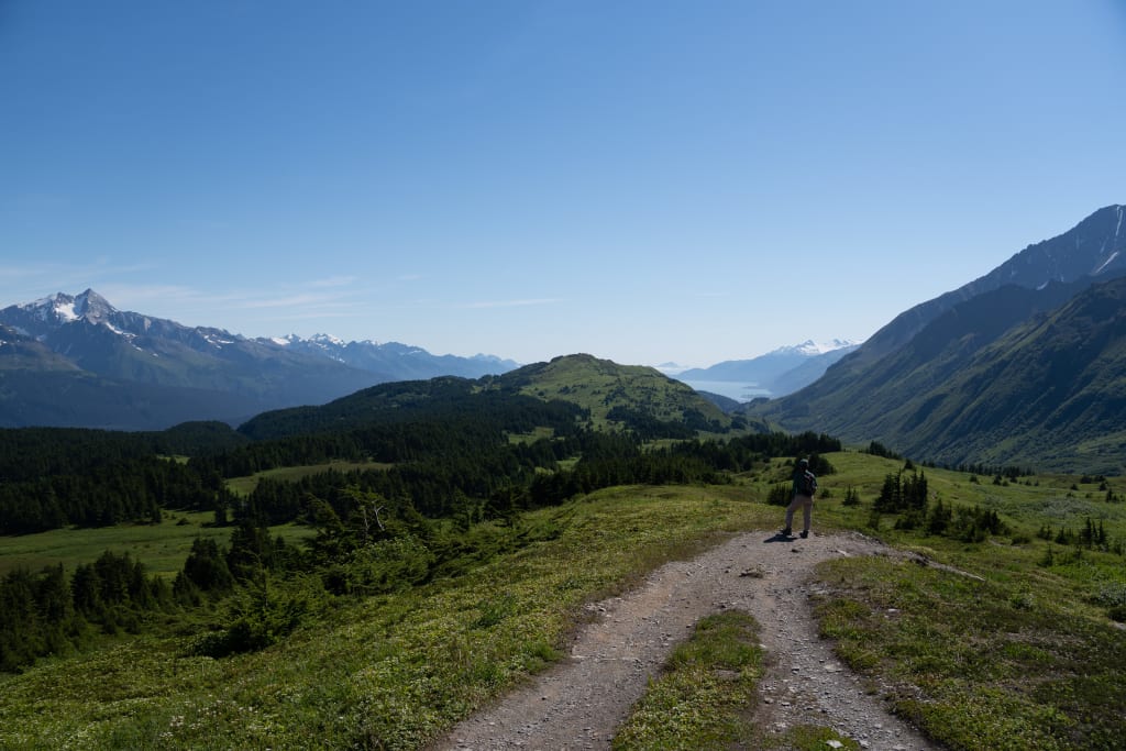 Distant view of Resurrection Bay from Lost Lake Trail