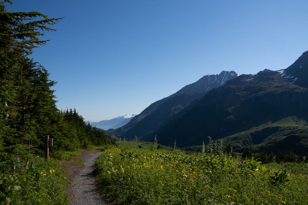 Afternoon light over the Lost Lake Trail near Seward