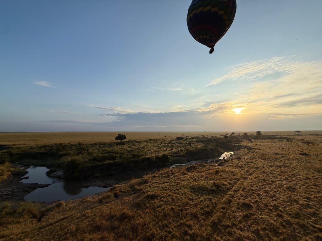 Hippos viewed from a hot air balloon