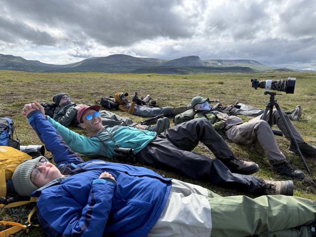 Bear Camp guest napping on the tundra