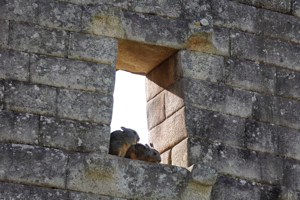 Stone buildings inside Machu Picchu