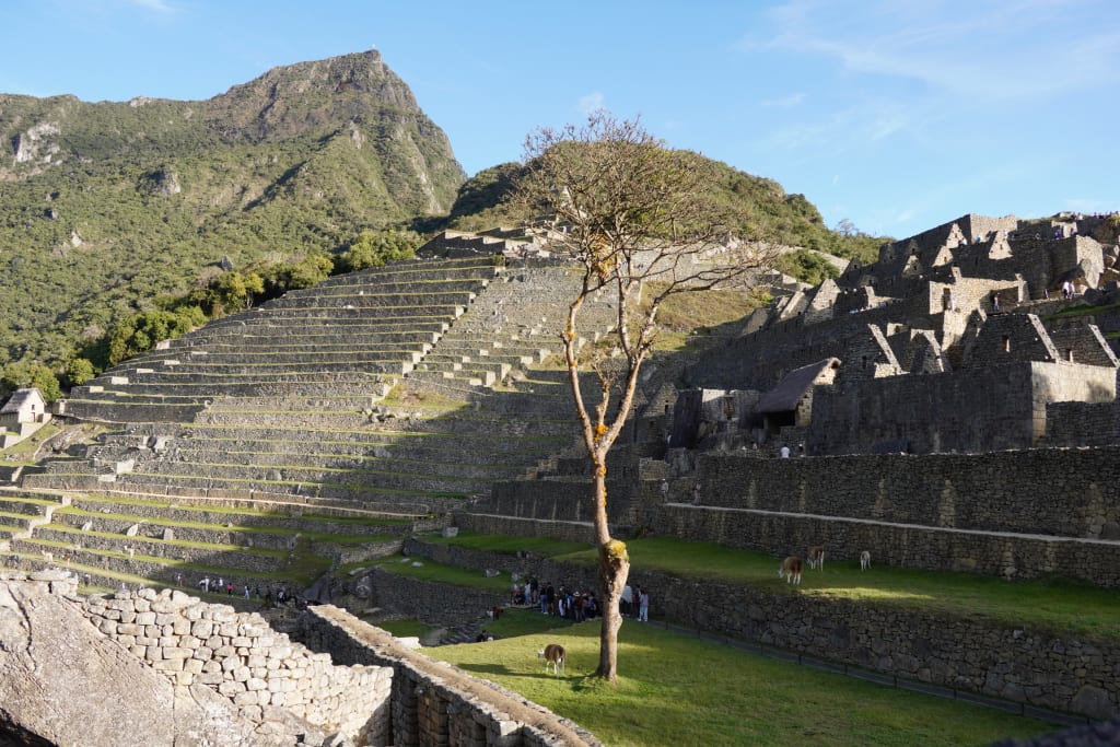 Stone terraces at Machu Picchu
