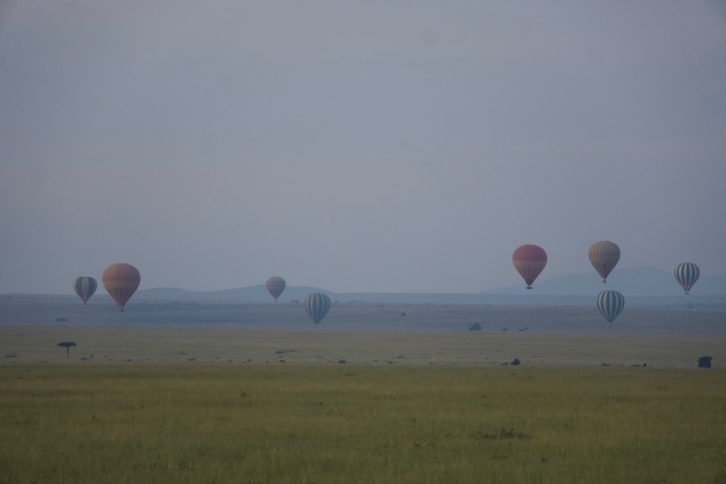 Hot air balloons floating above the savannah