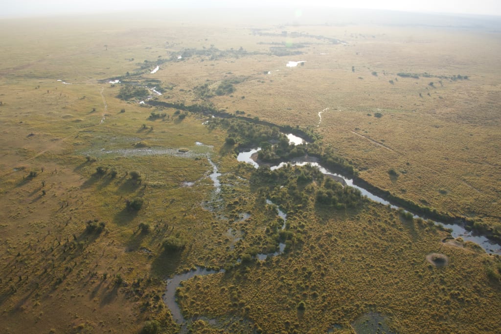 Mara River from a hot air balloon