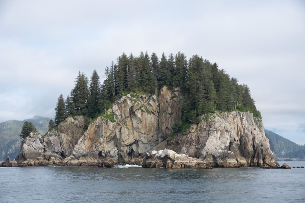 Forested islands and distant glaciers in Kenai Fjords National Park