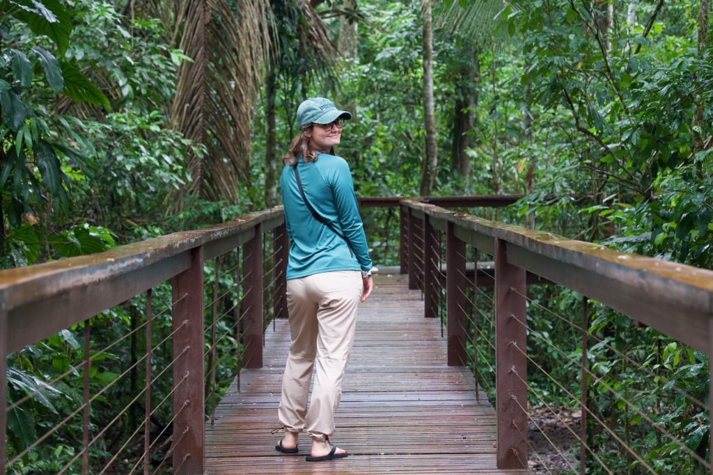 Boardwalk through the Amazon lodge grounds