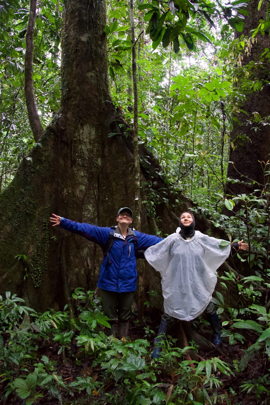 Heavy rain at the Tambopata lodge
