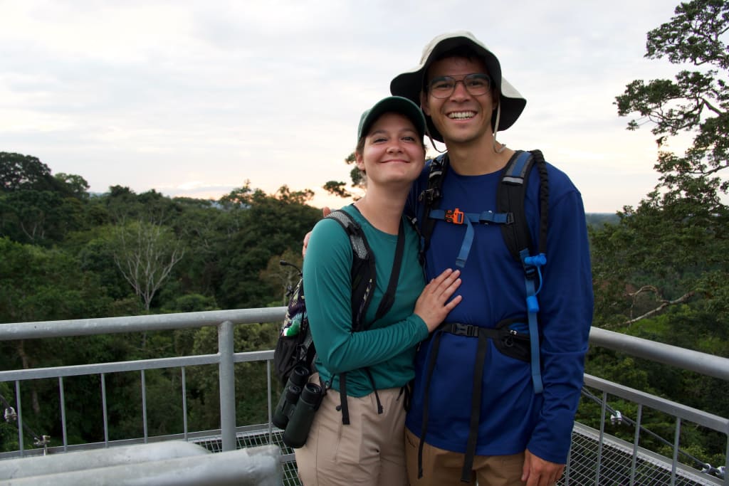 View above the tree canopy in Tambopata