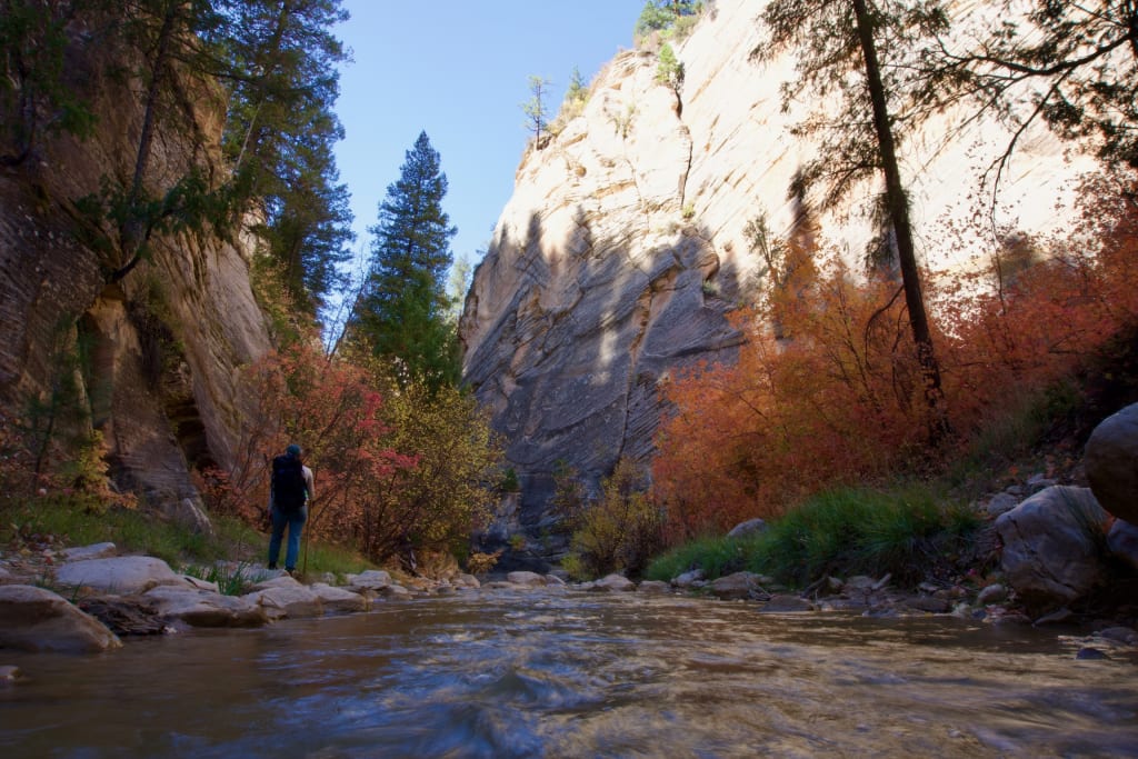 Entering the canyon on The Narrows Top Down route