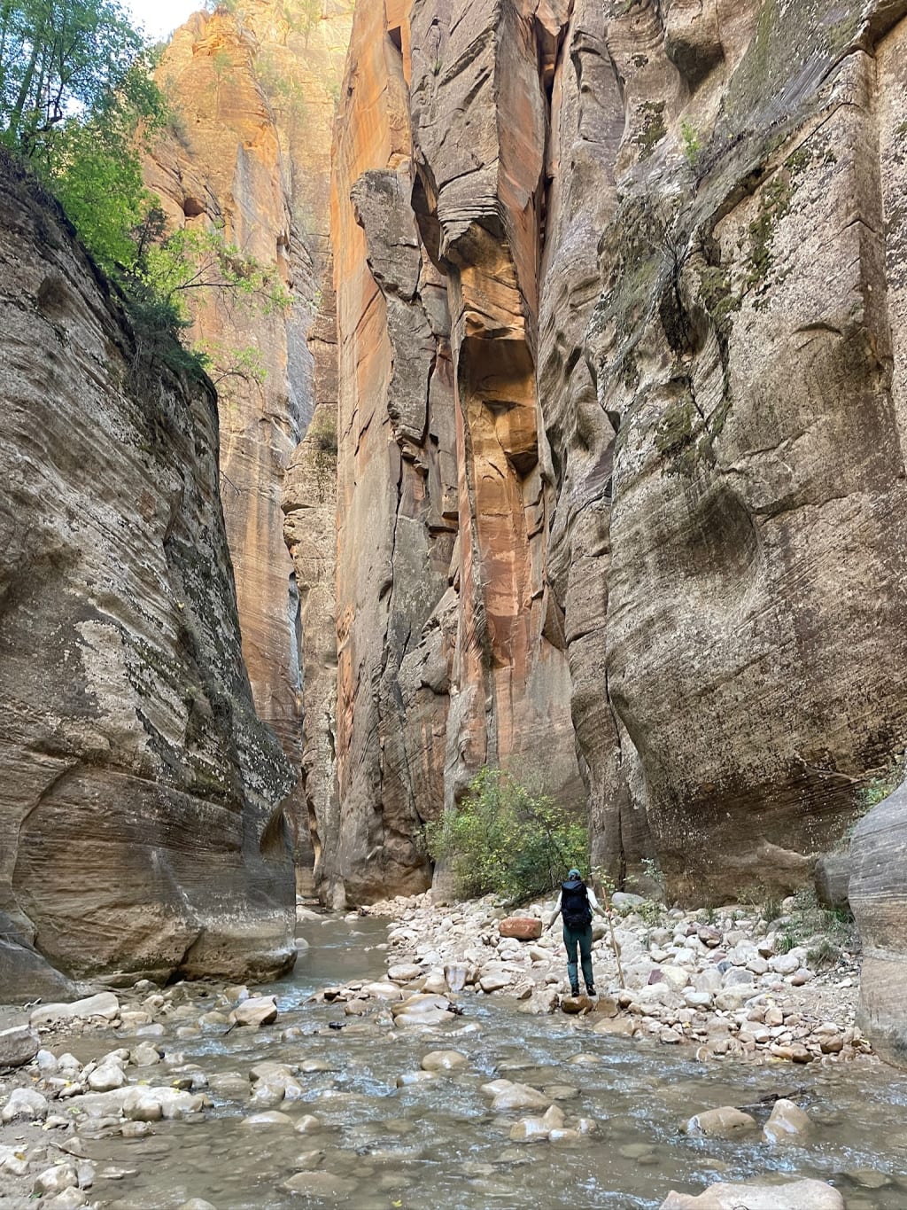 Rocky riverbed in The Narrows