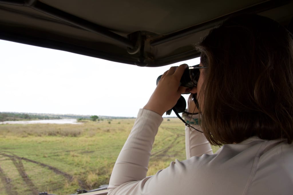 Great migration Kathryn binoculars