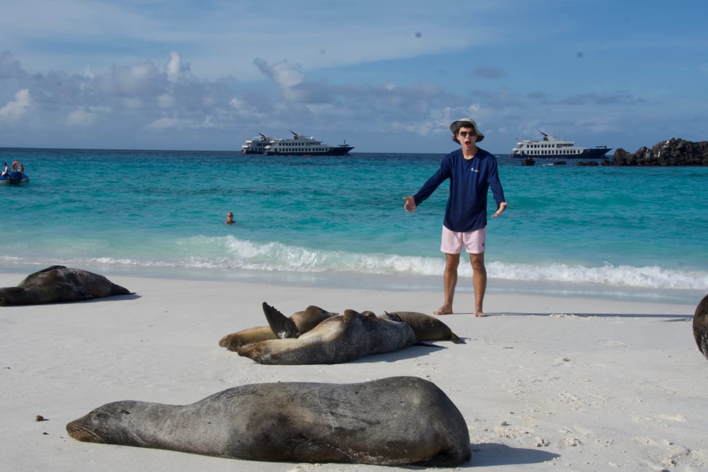 Alex with sea lions at Gardner's Bay