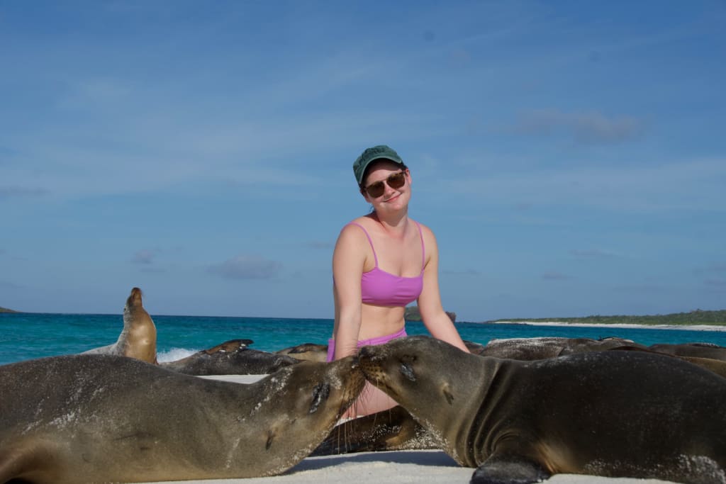 Two sea lions together at Gardner's Bay