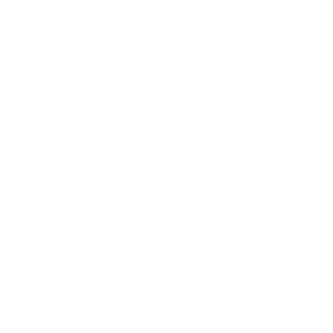 TopLevel Logo
