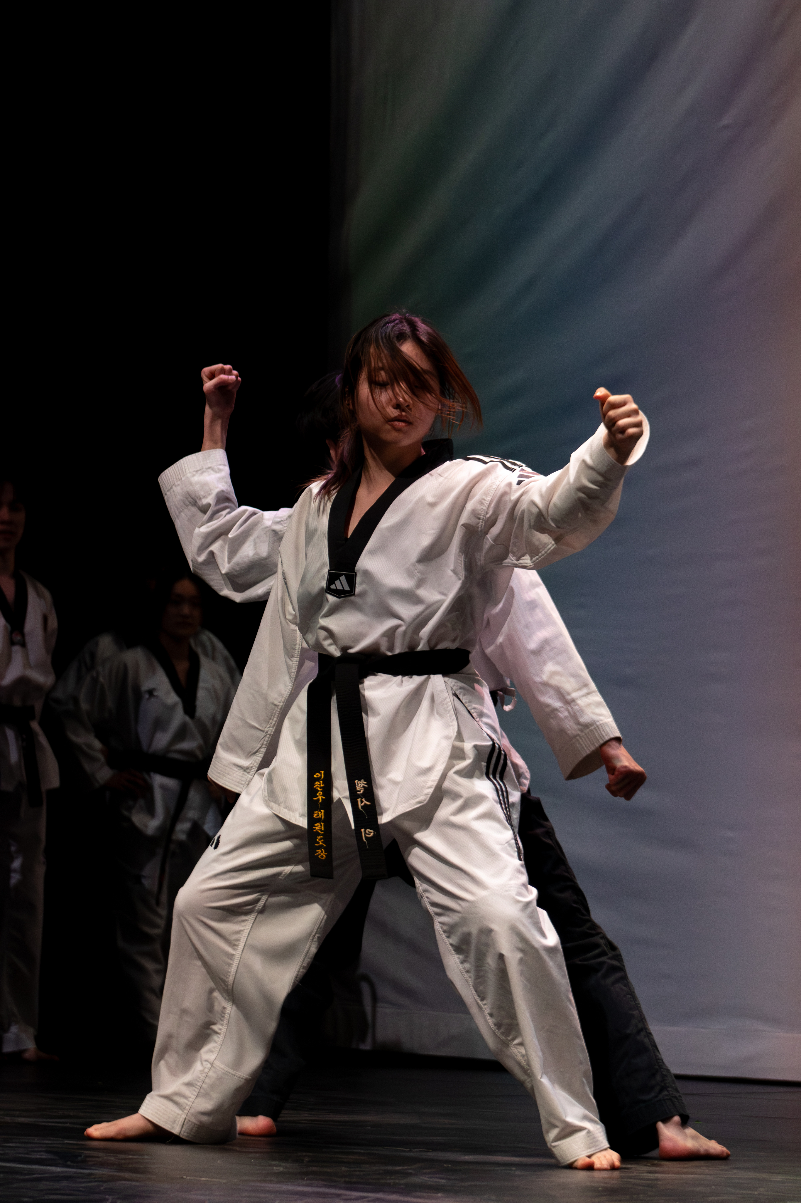 UBC K-Wave ShowKase 2026